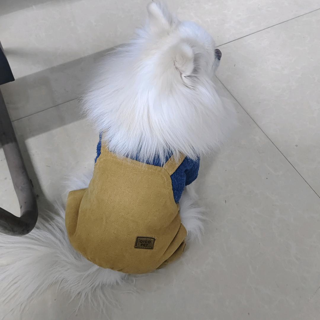 锅巴味奶茶