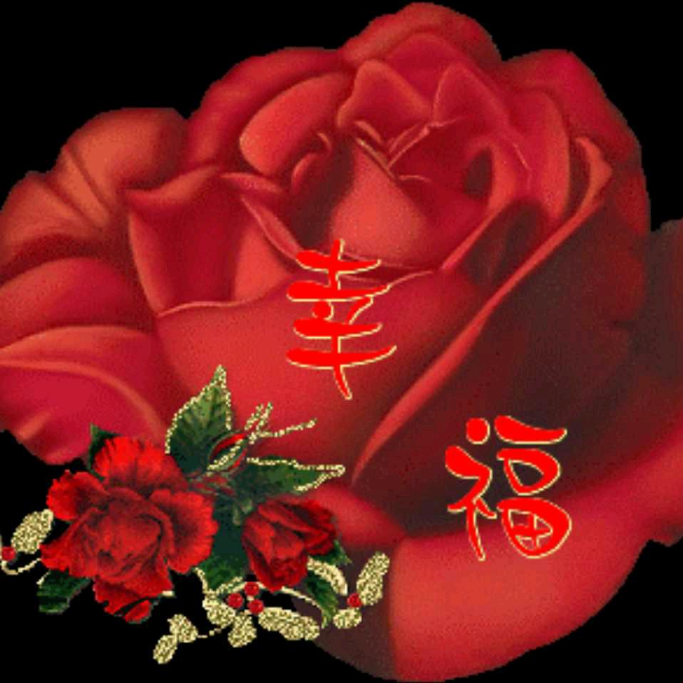 好运陪我一生