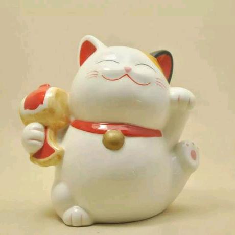 木都汇-橡胶木 桦木 新西兰实木柜体板材