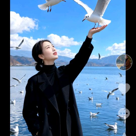 陈风破浪《拒绝连赞》