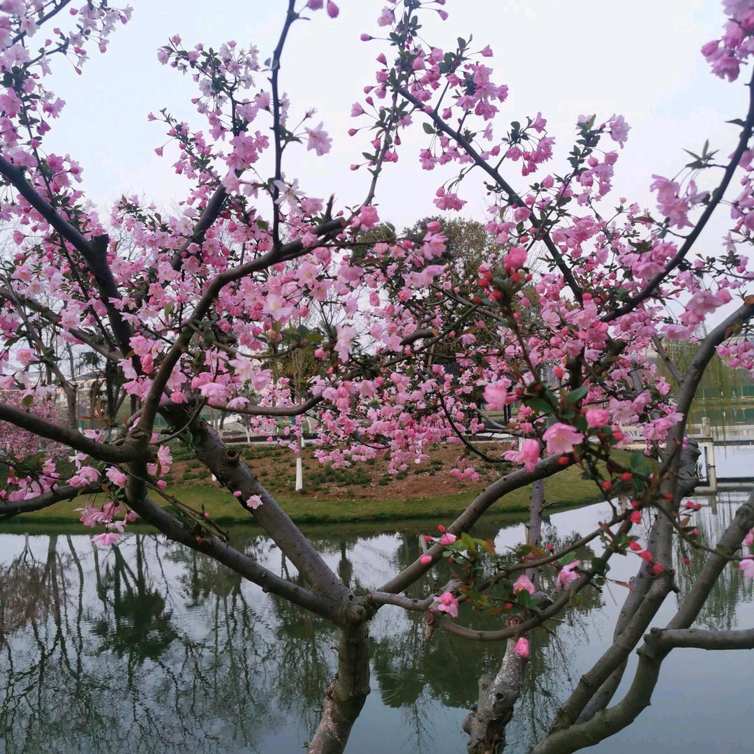 黑哥