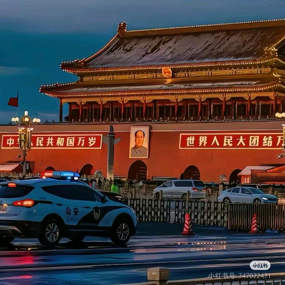 🇨🇳台湾当归🇨🇳 ⁹¹