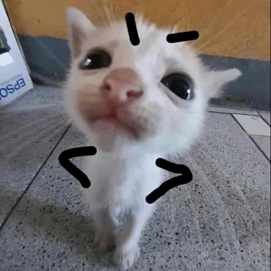 不惧强风吹拂