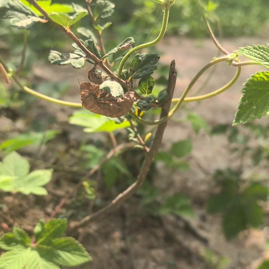 ᰔᩚ爱财🍒悦己❤👌