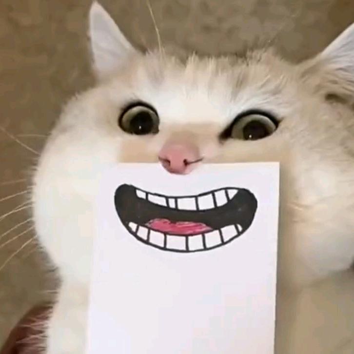 .。