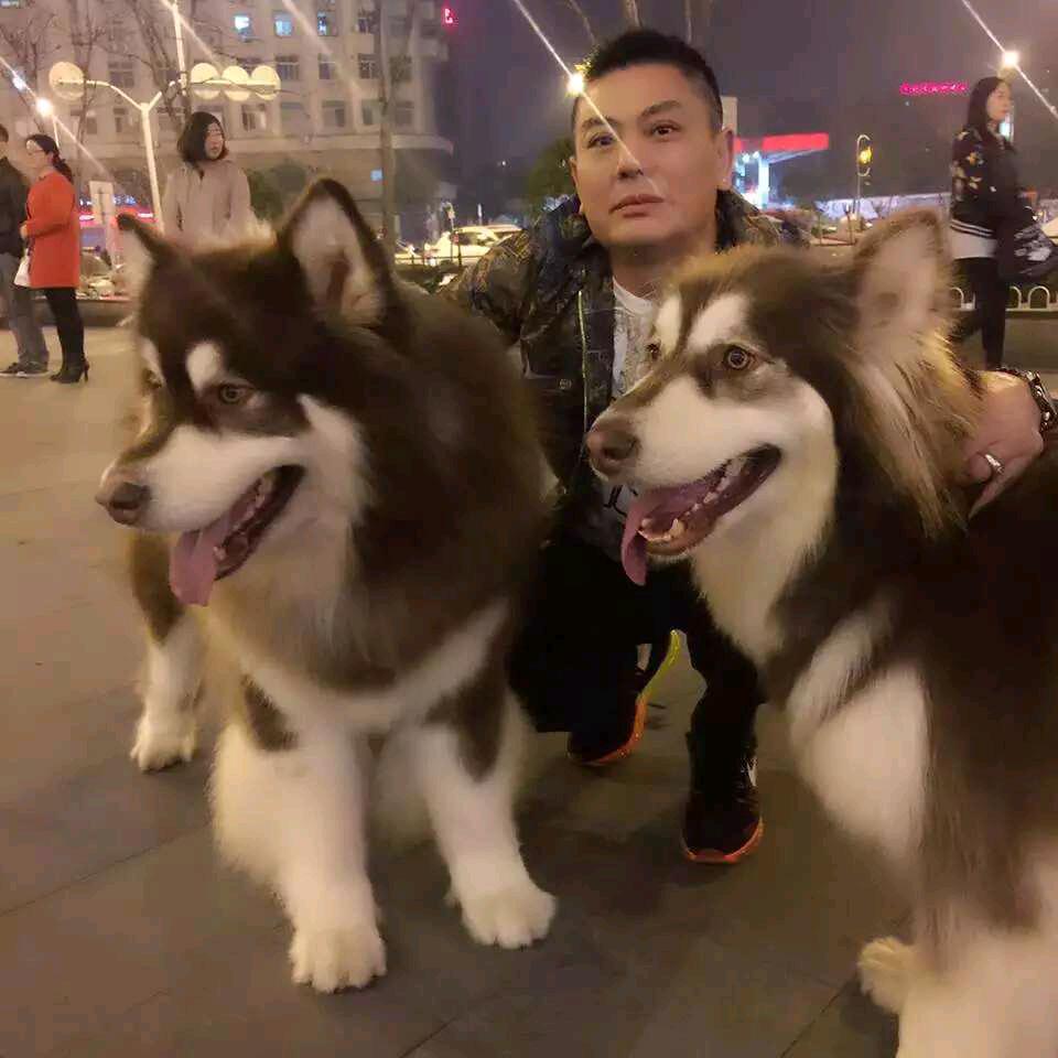 浮云杰哥