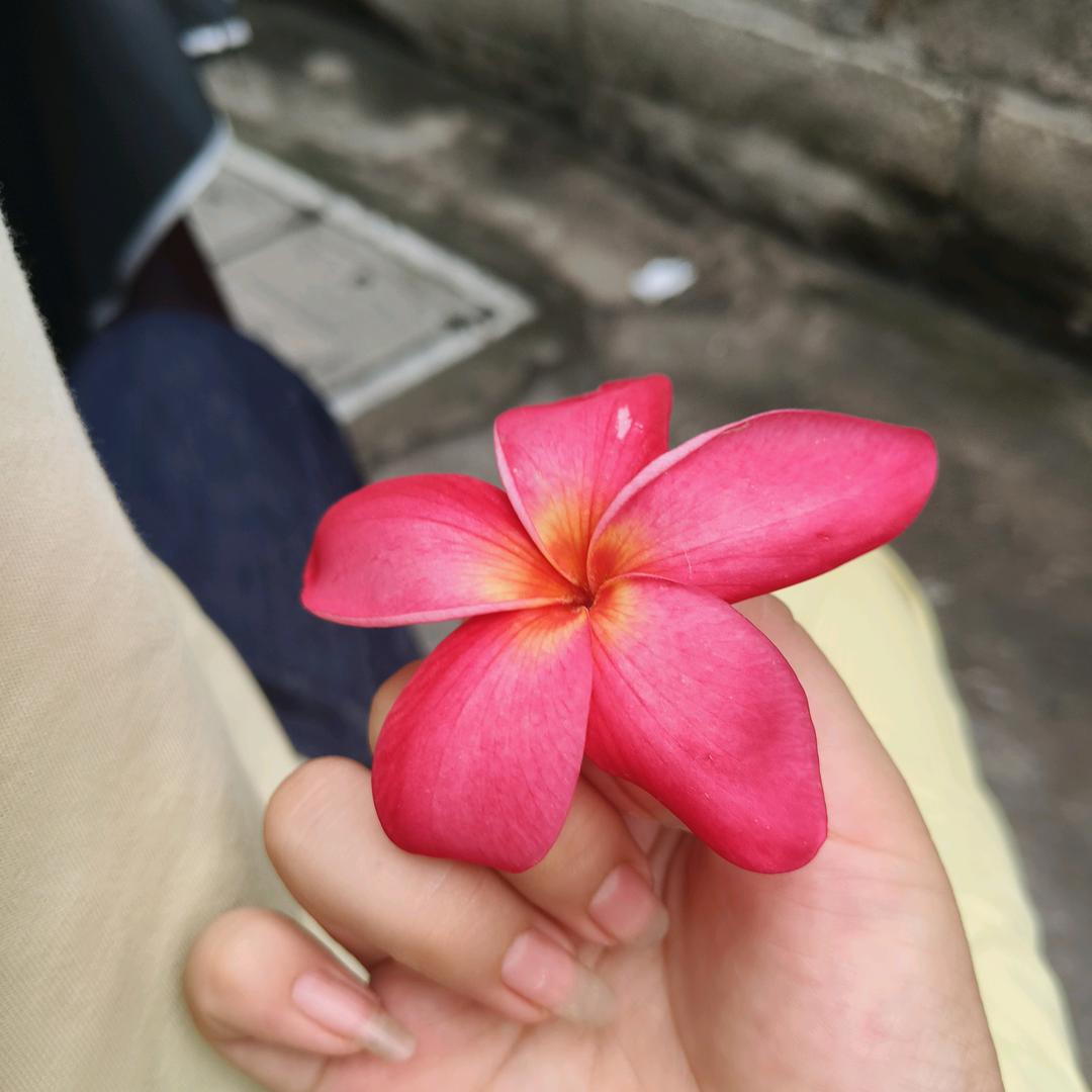 欣慧
