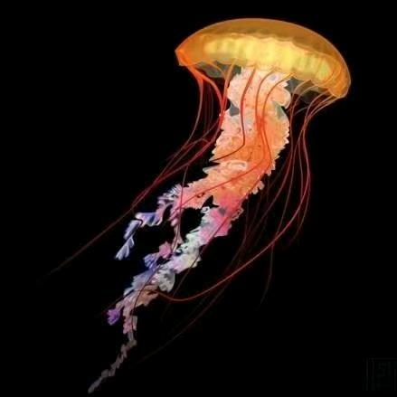 张红一头像