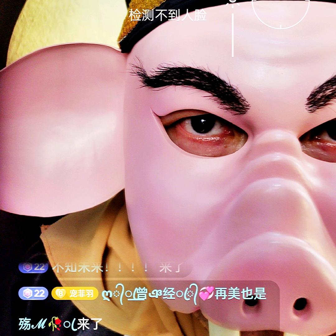 猪罗纪