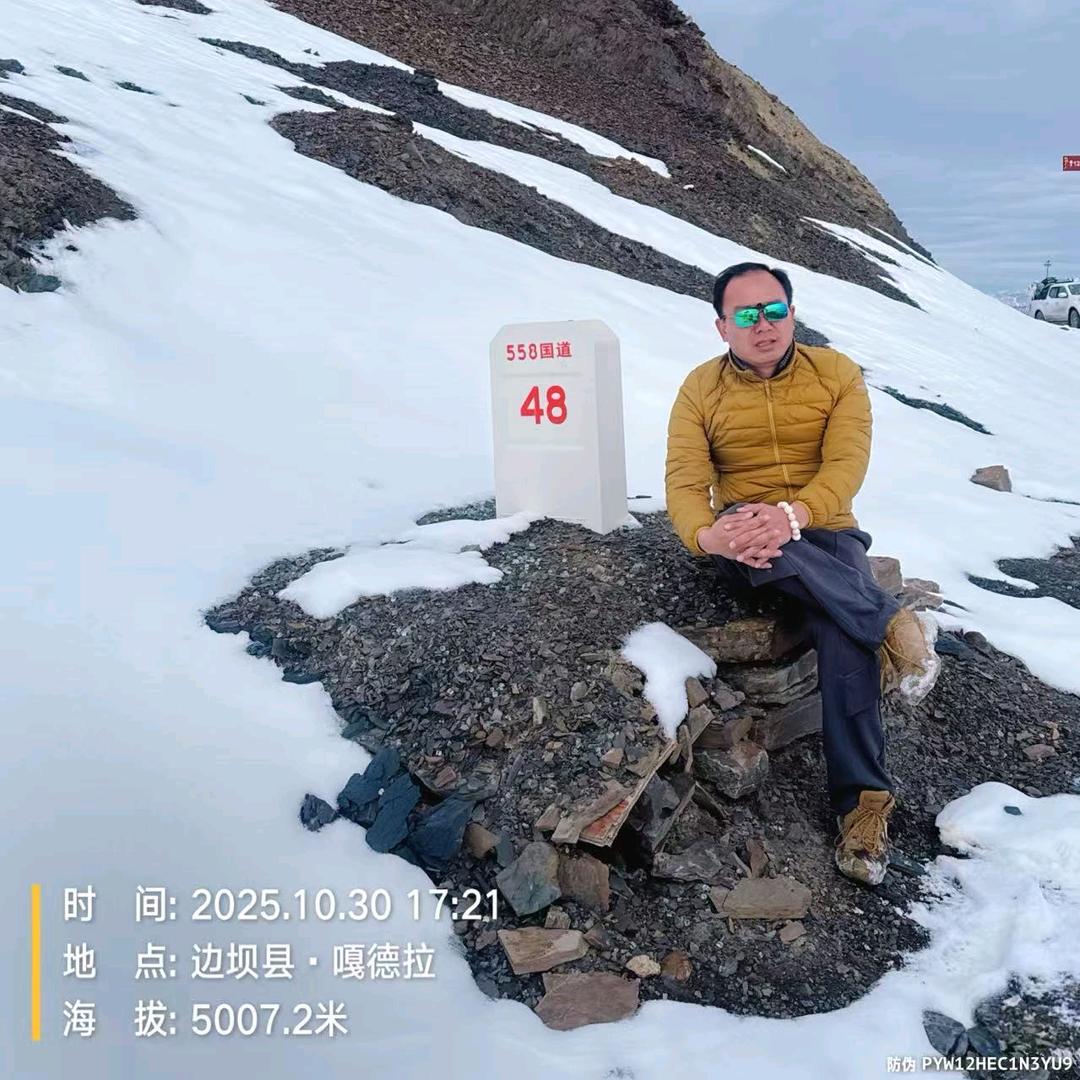 高端自由行专业司机、领队