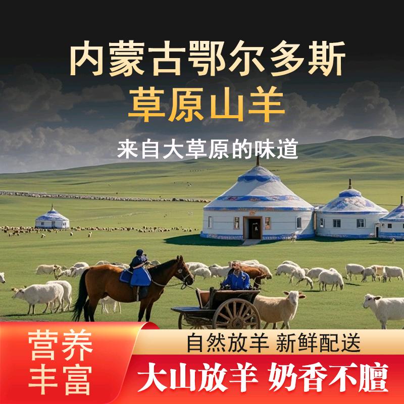 内蒙鹏子草原羊肉批发