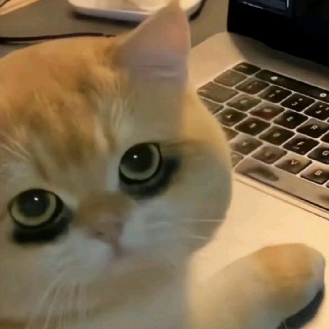 和平精英我们不喜欢你