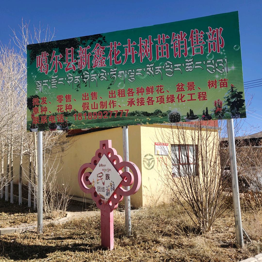 噶尔县鑫新花卉树苗销售部@