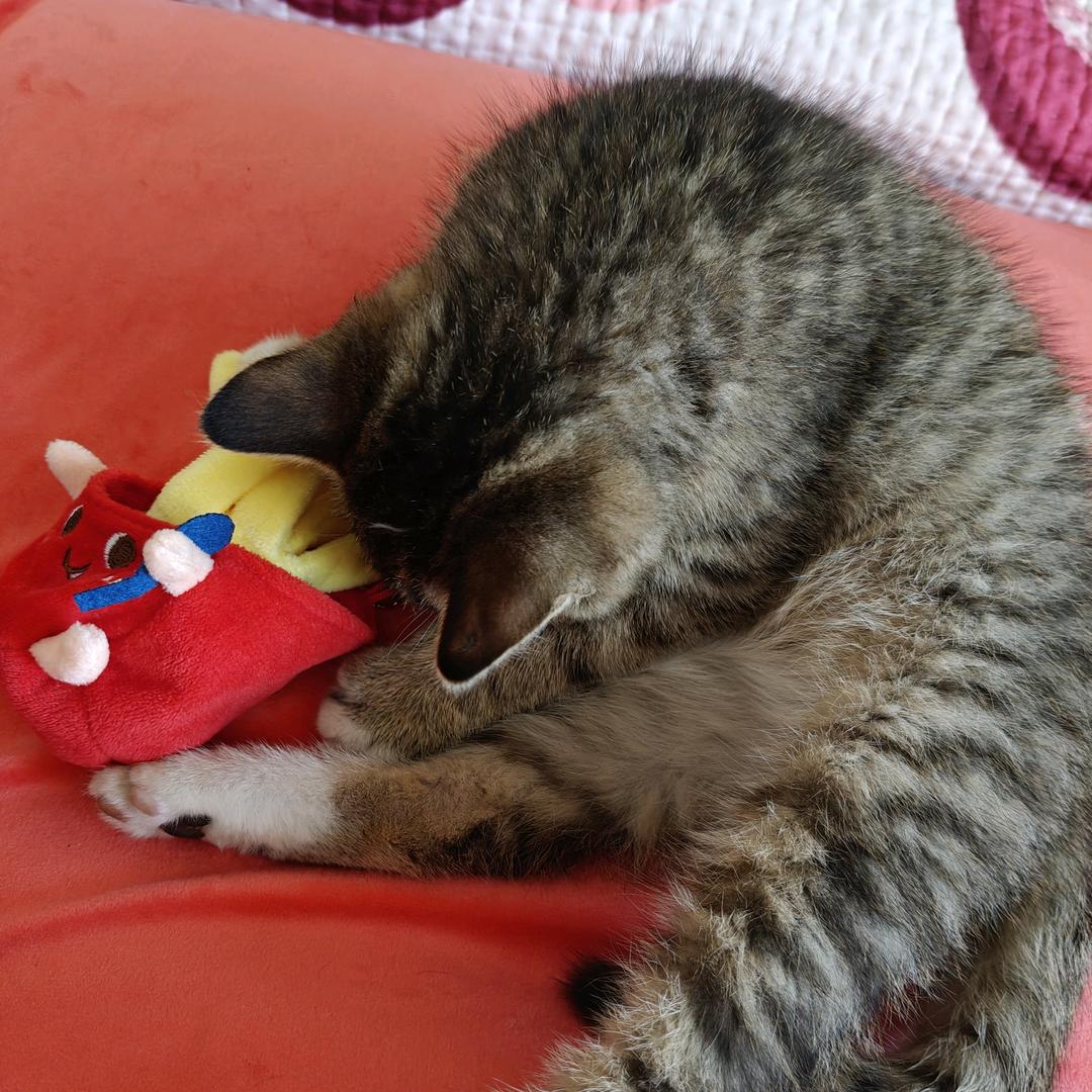 我尊嘟没烦恼💐