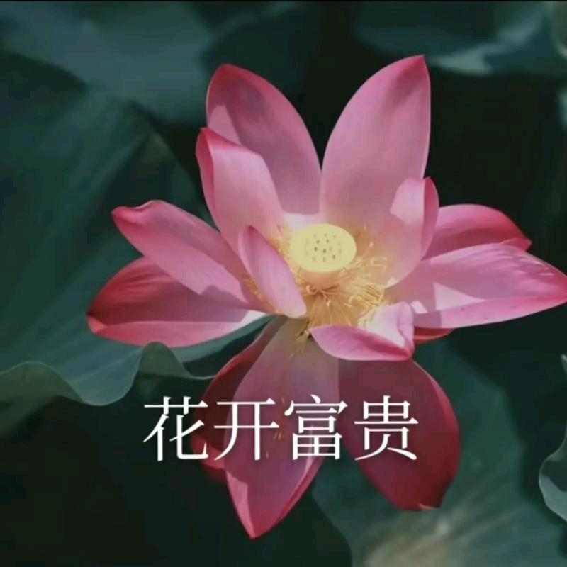 梦里寻乡