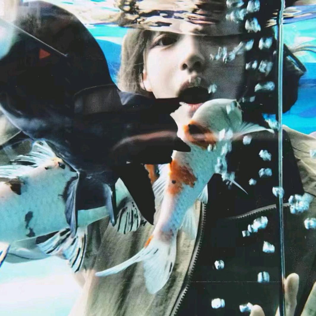 嫑吃🐟