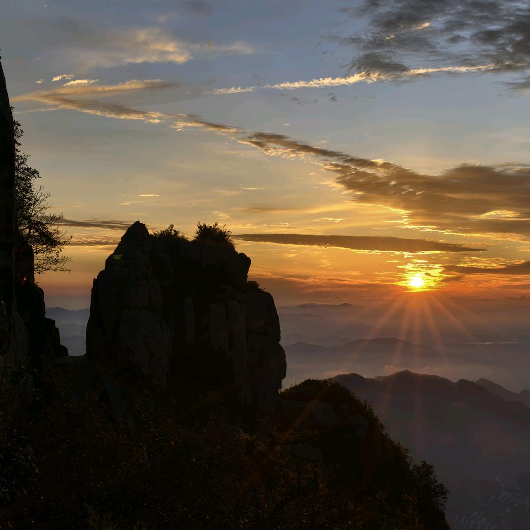 高端羽绒服严选