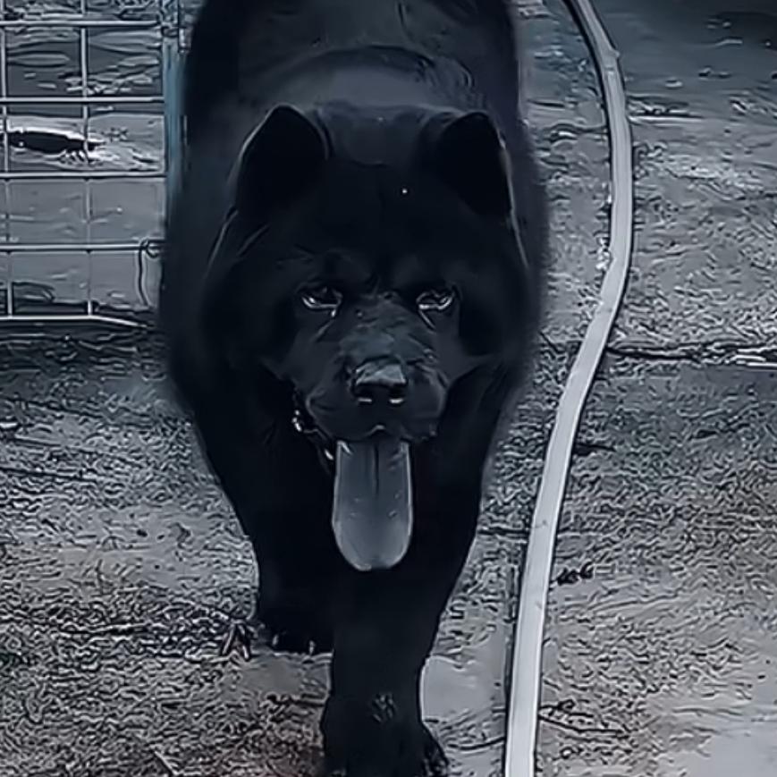 叫顺旺