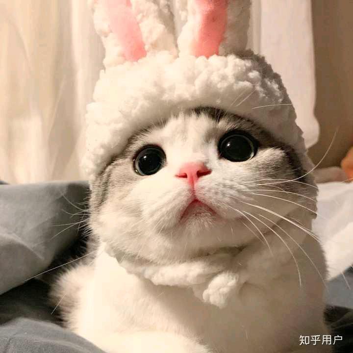 kk宝贝
