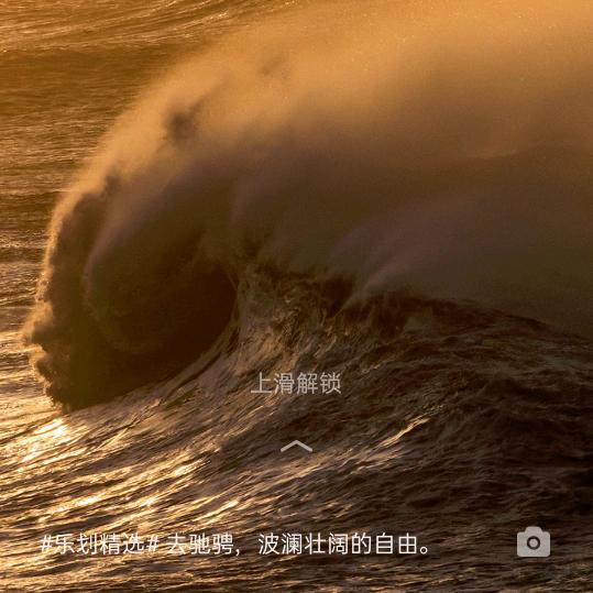 蛋蛋。。