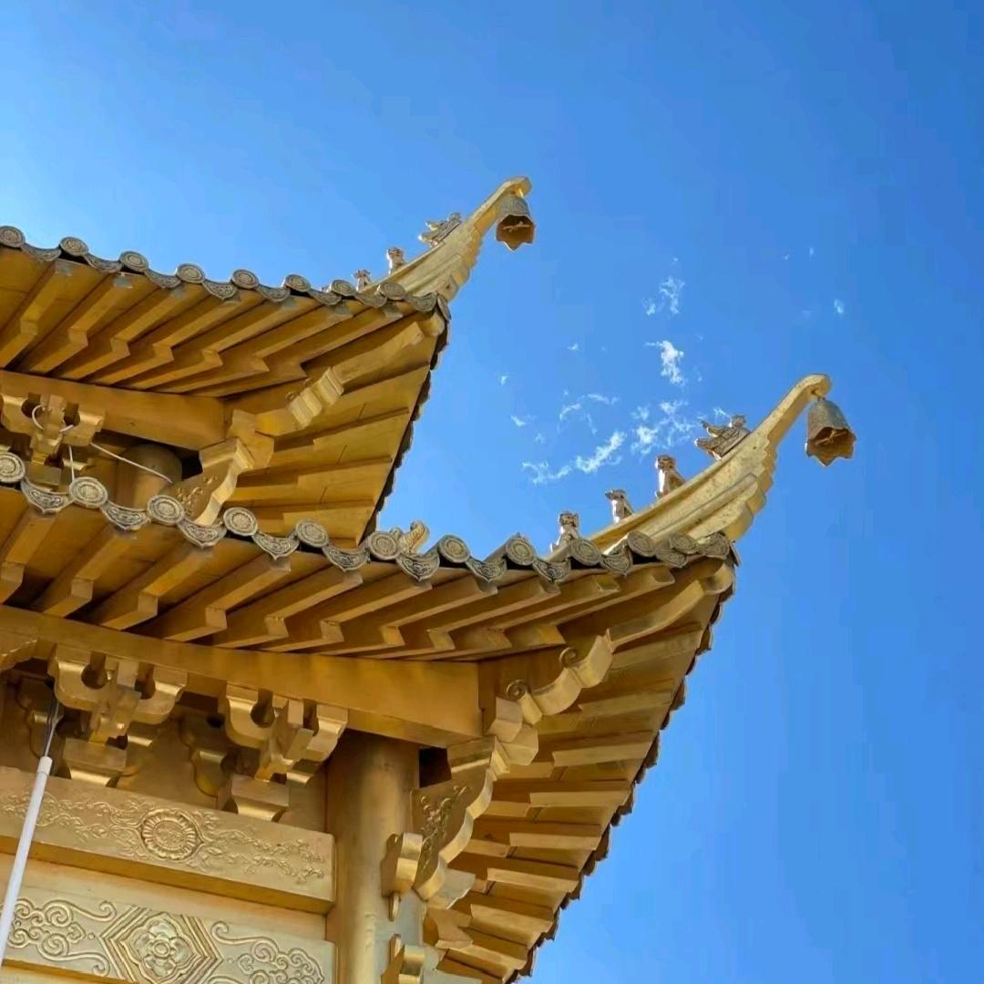 昆明直考教育