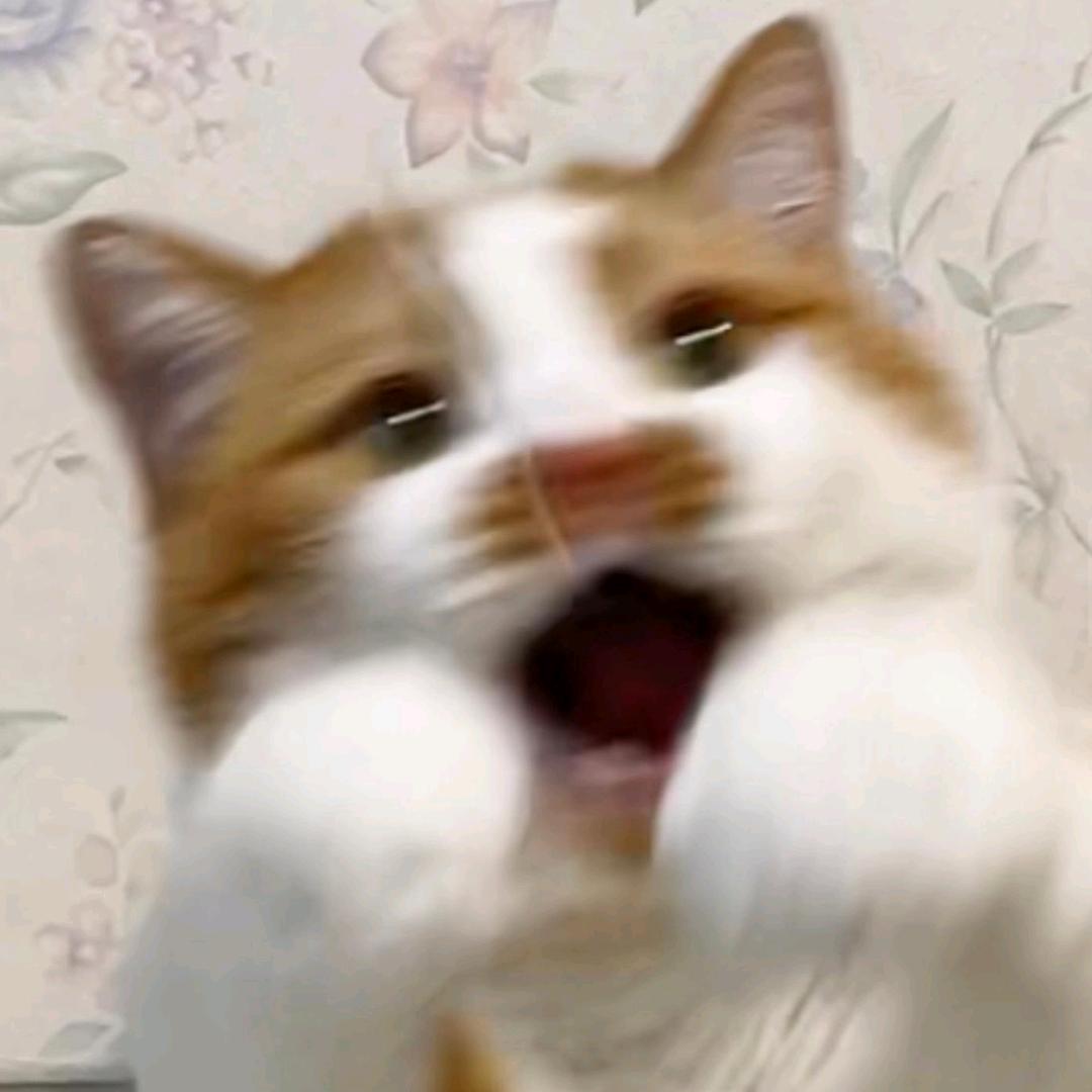 妈耶！