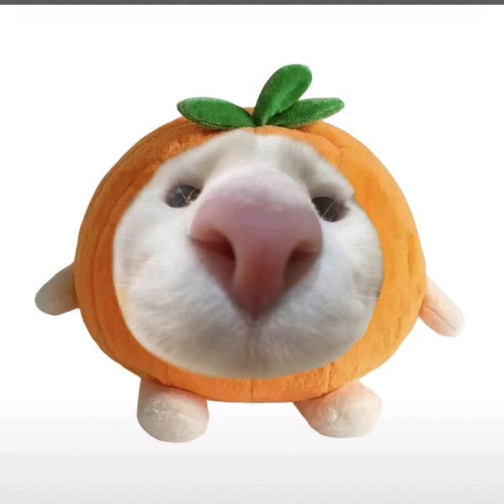 巛
