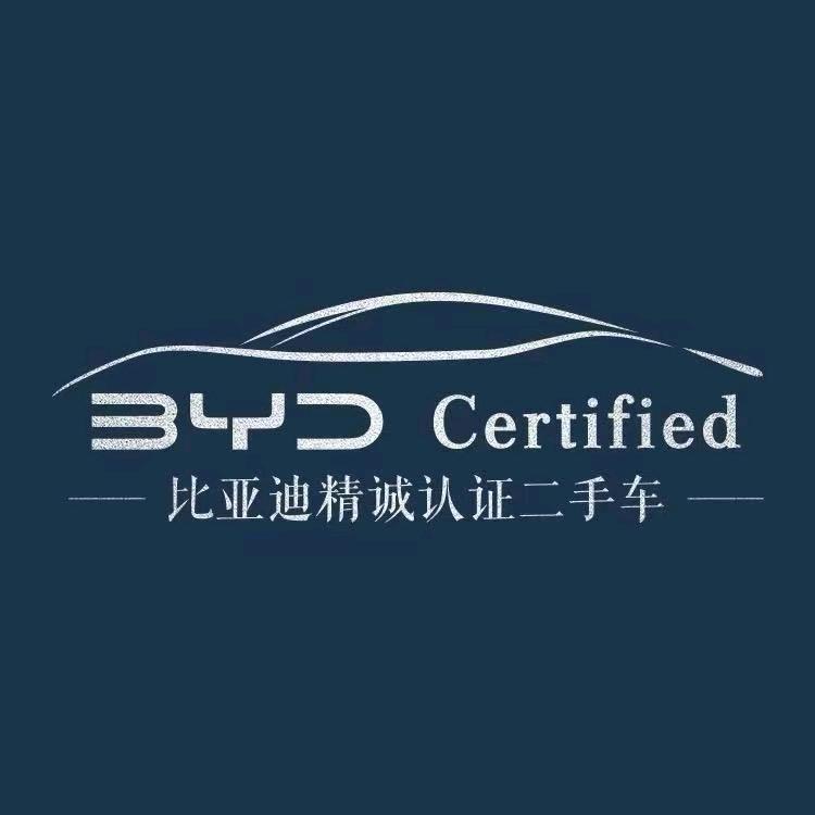 比亚迪精诚认证二手车河北三行店