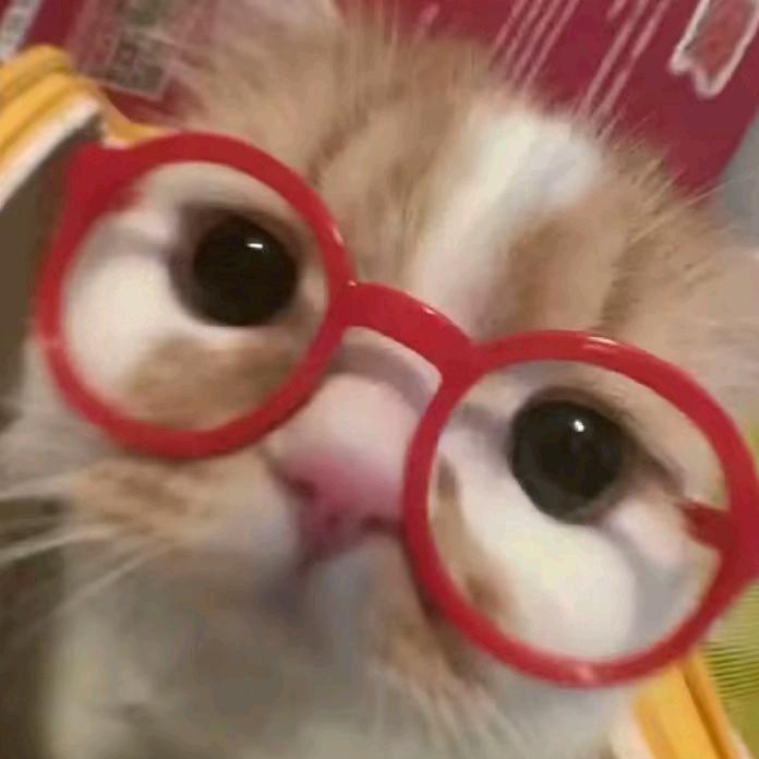 ᦗᩚ大周᭨ᮩ与小周᭨ᮩ໊ഒᩚ࿐