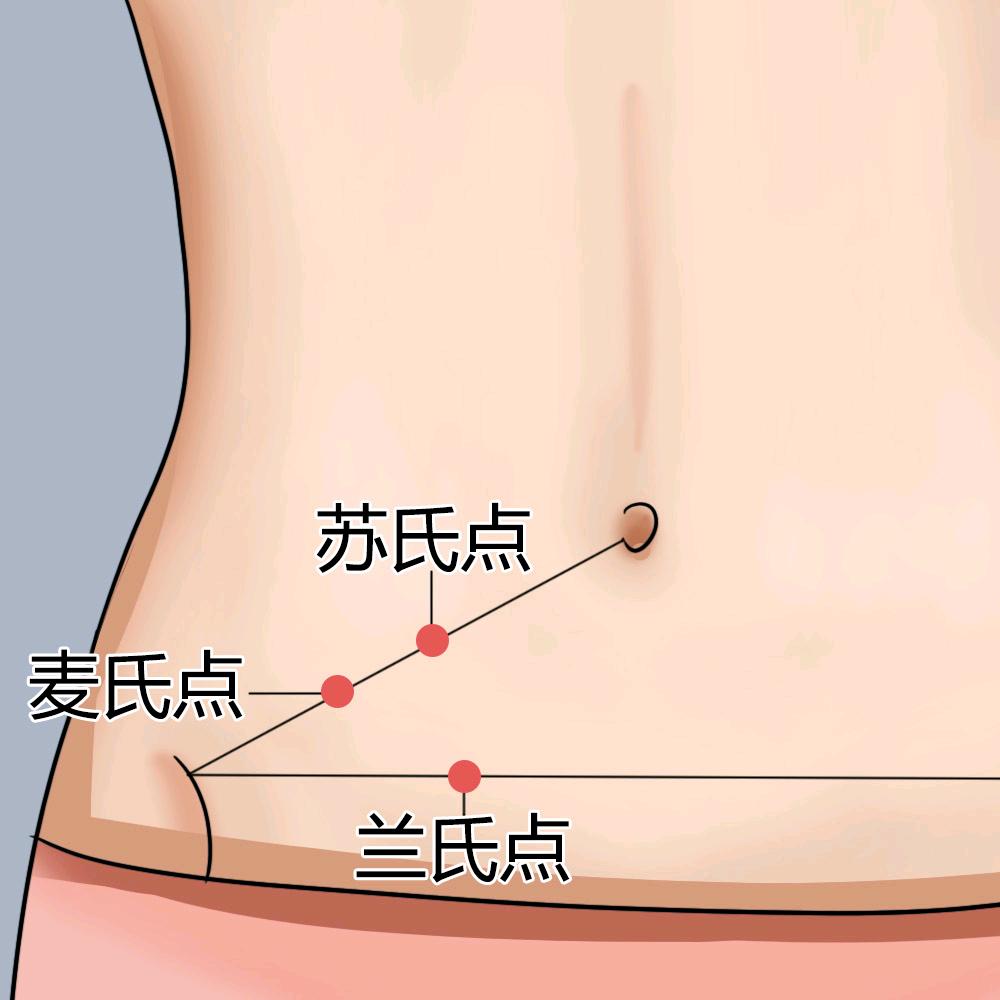 杏林草根