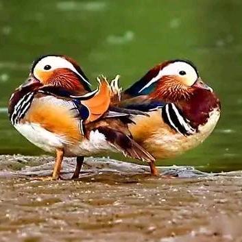 专业上下货装卸工周