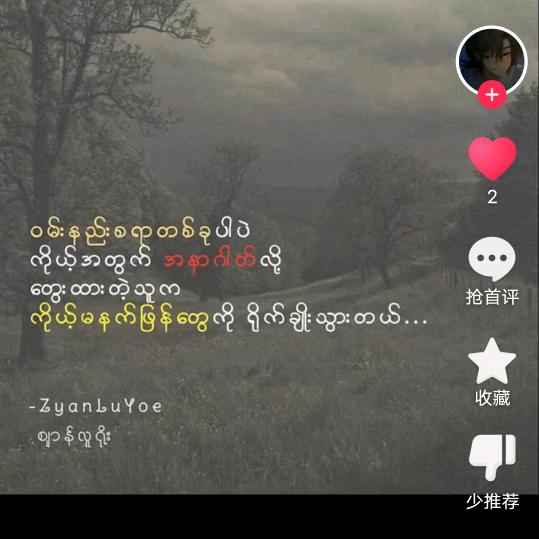 EverSmile