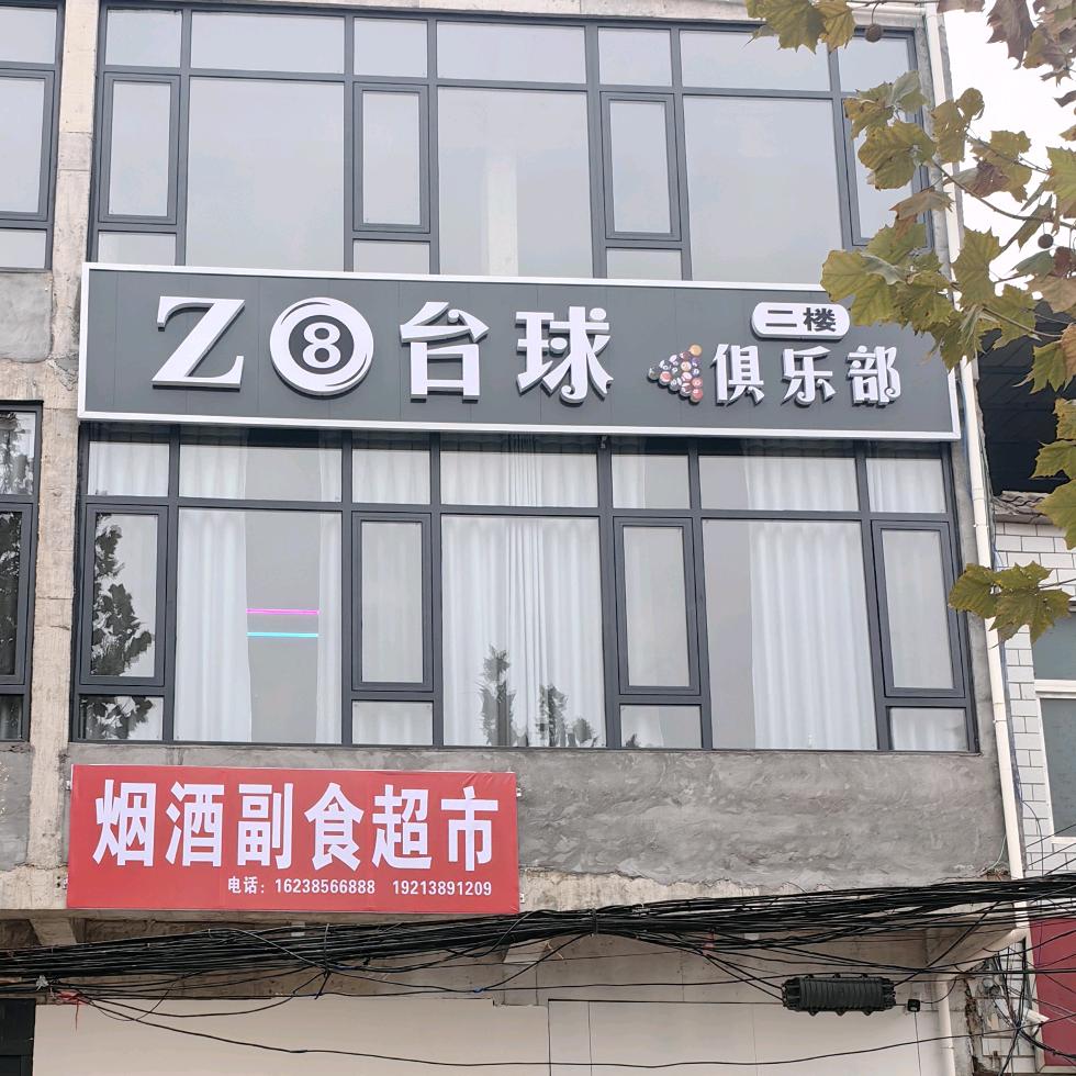Z8台球俱乐部    【任集店】