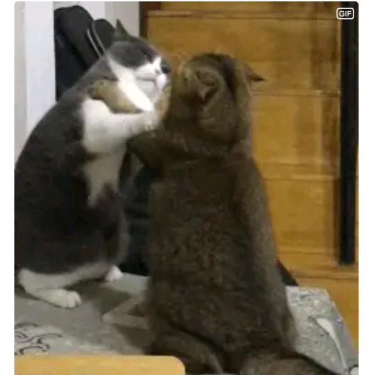 我困了m