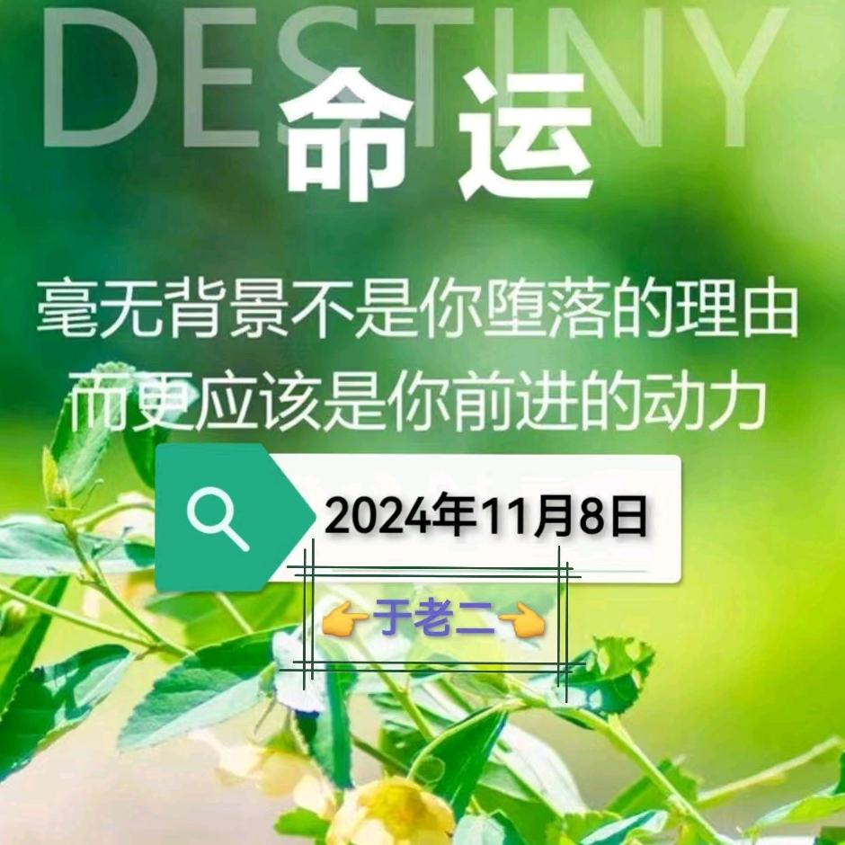 焕(换)然一新11.08