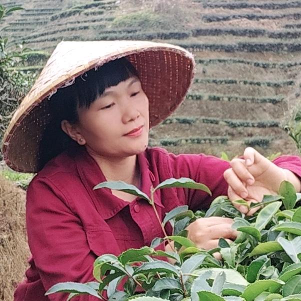 诚真农产品~（疯婆子茶姐）