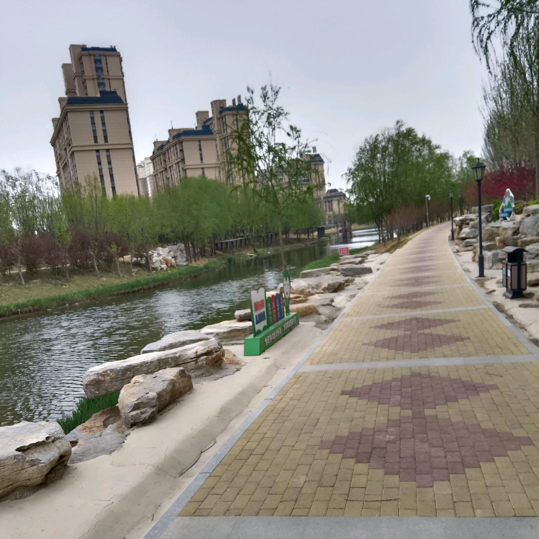 青春的梦想❤️