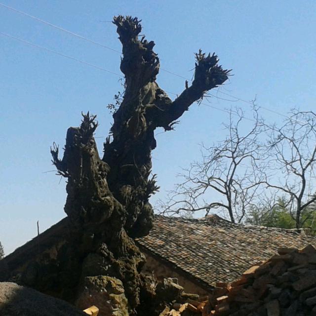 美好家园自然愿生态