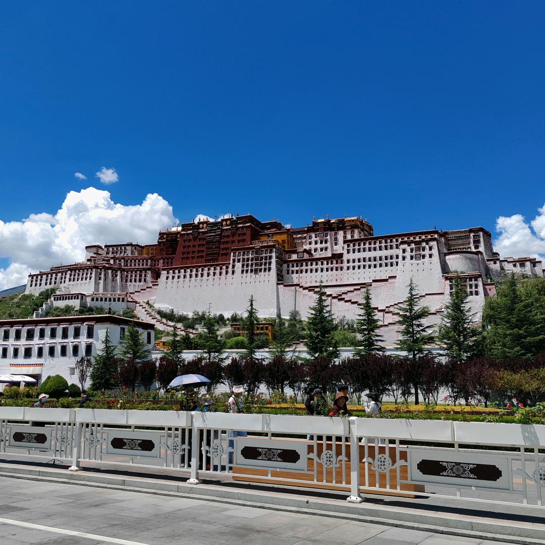 实在🐮之<全职带娃🎉🎉🎉>