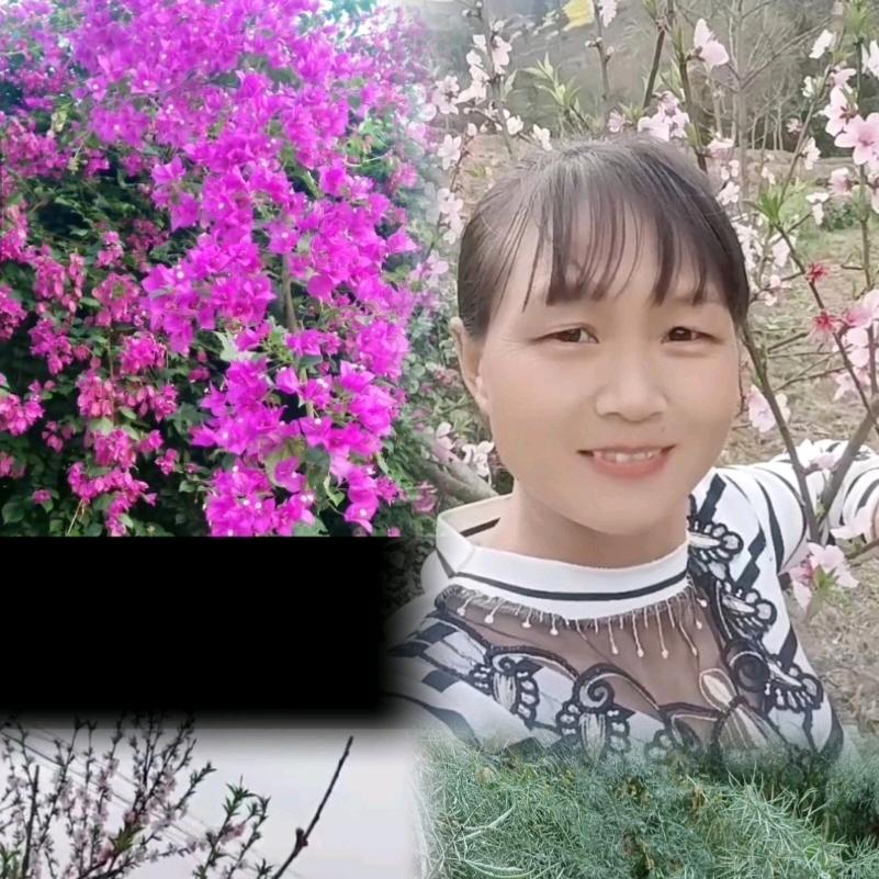 幸福美满徐三姐