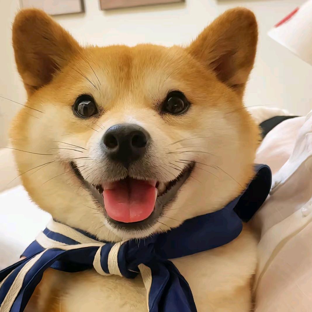 王灿.
