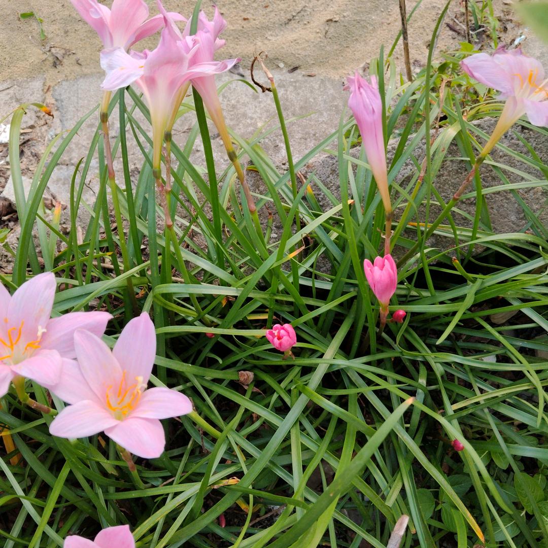 优优岁月。