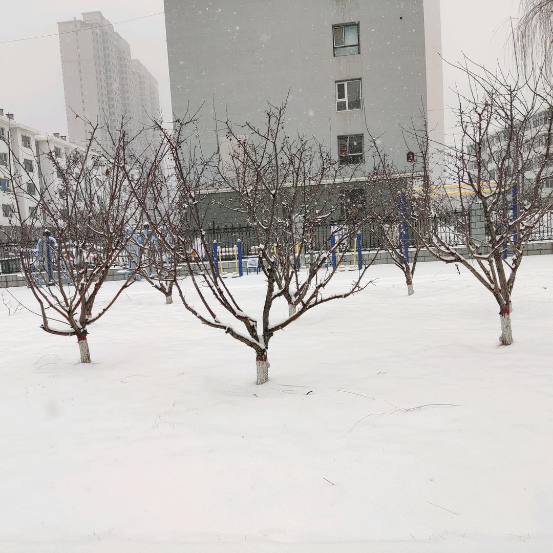 多士之秋