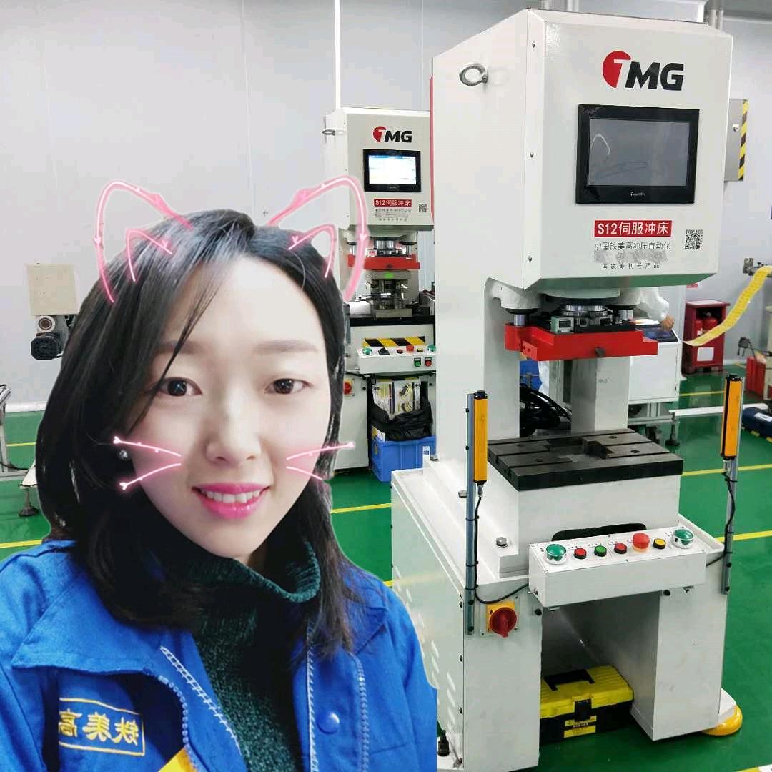 铁美高小型伺服冲床模切机-精密高速