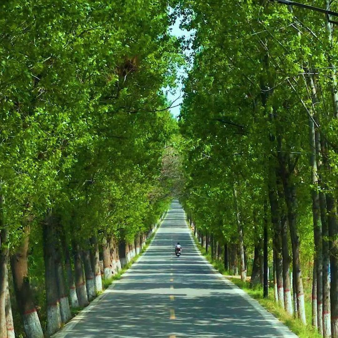 心相