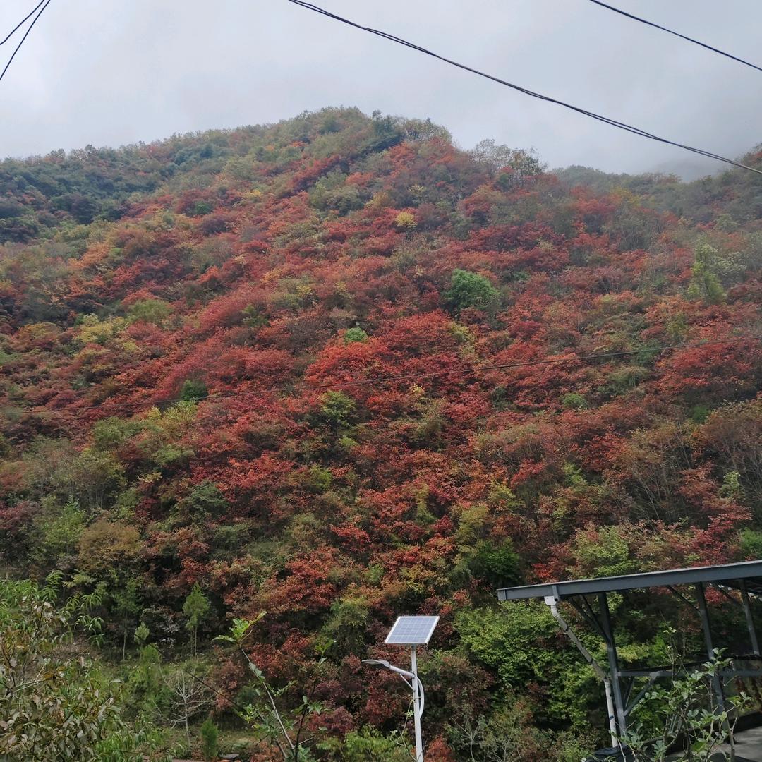 漂洋过海来看你