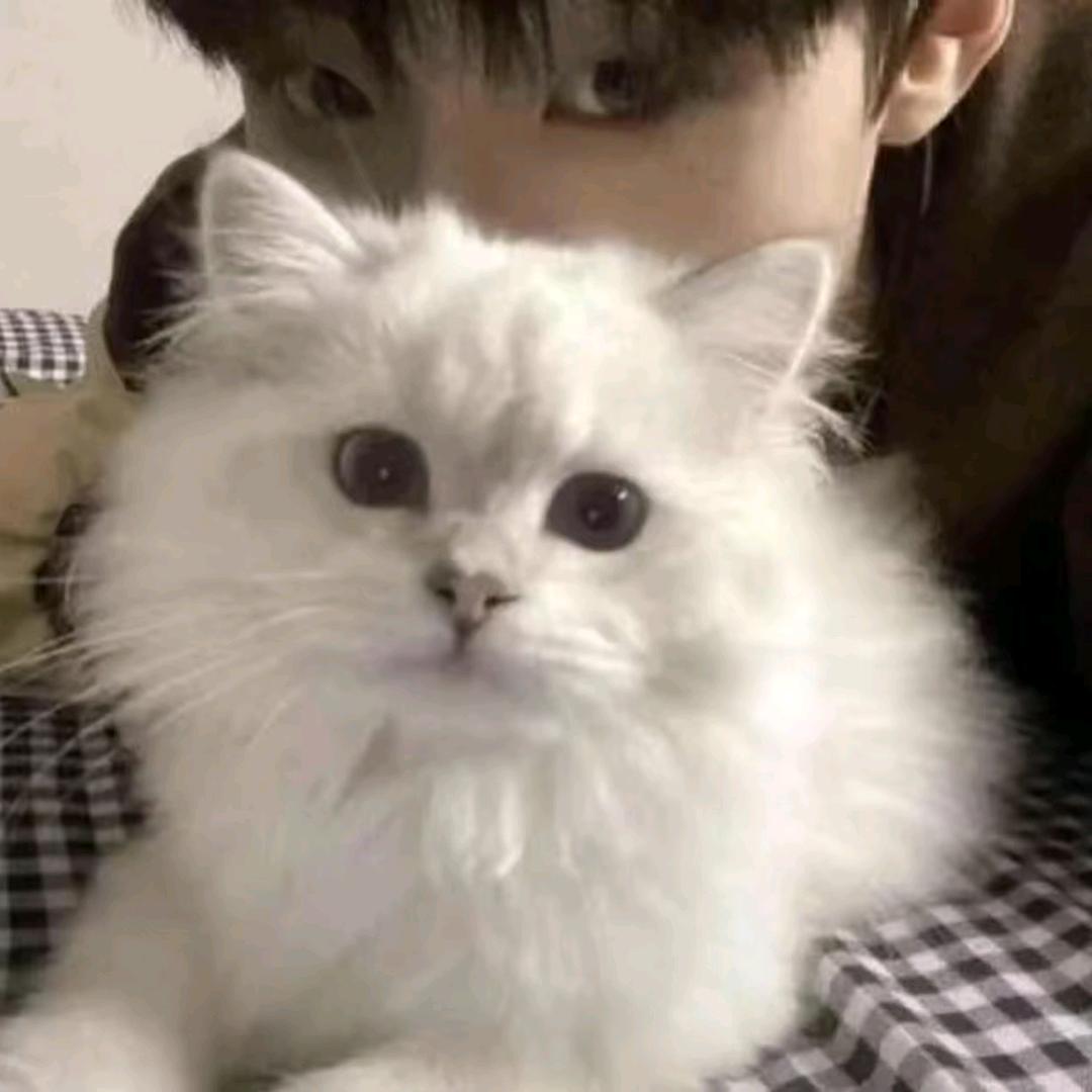 远方传来风笛୧⍤⃝🥖