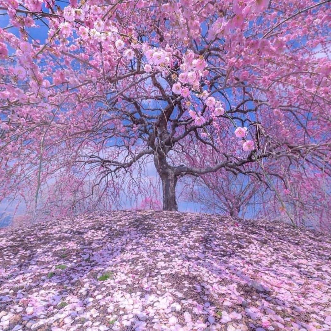 往后余生，谁能懂