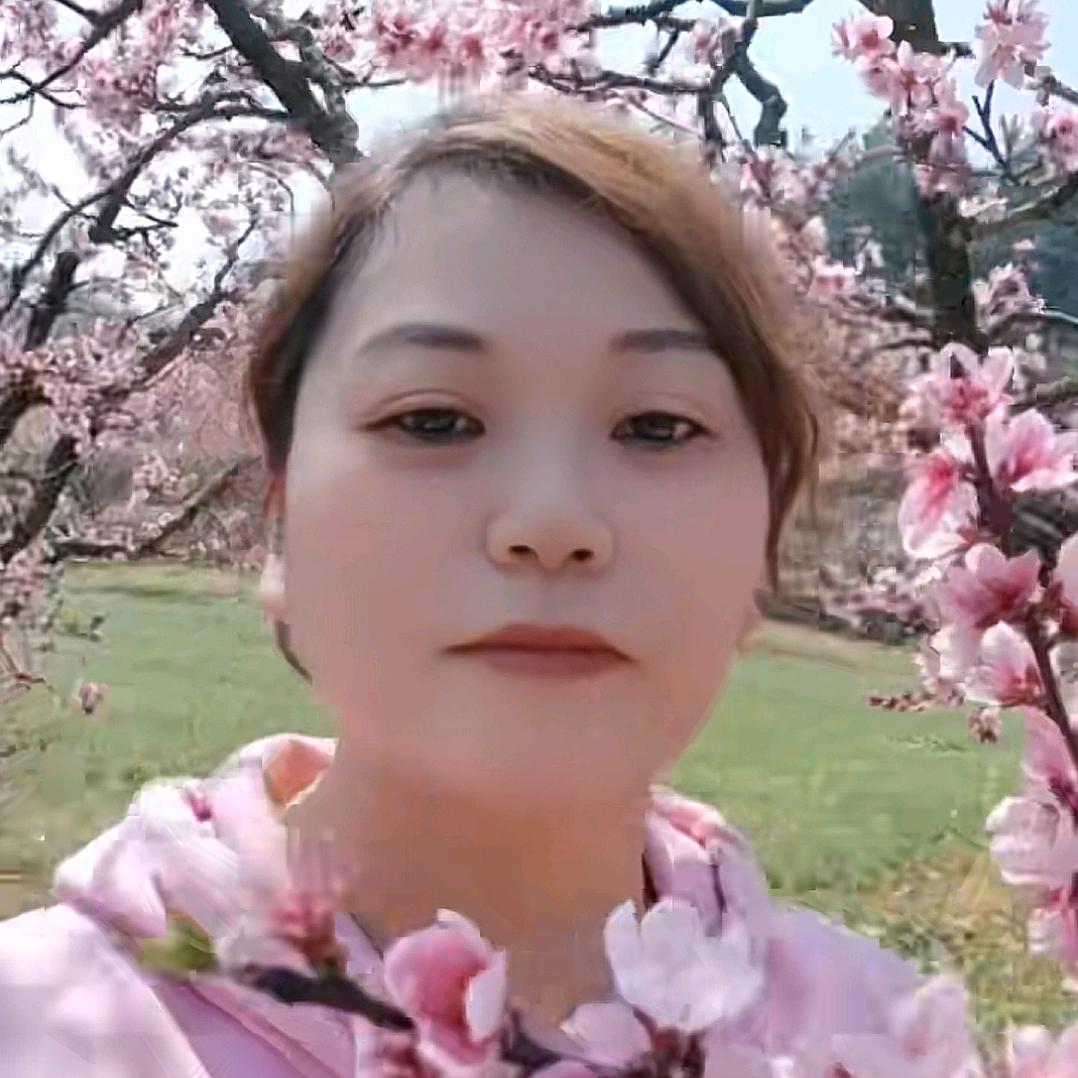 Zy荣