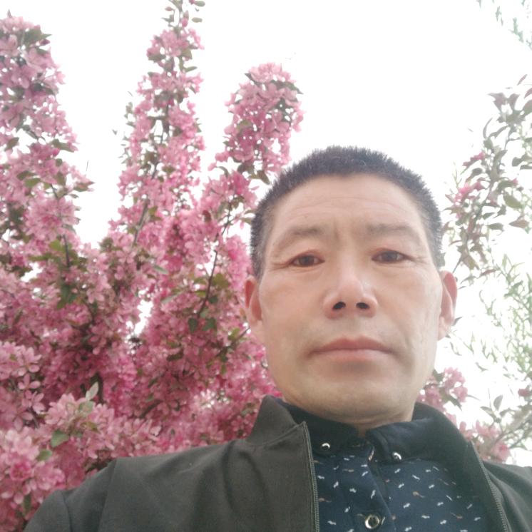 zo一帆风顺